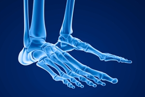 Why Are the Feet Ticklish?